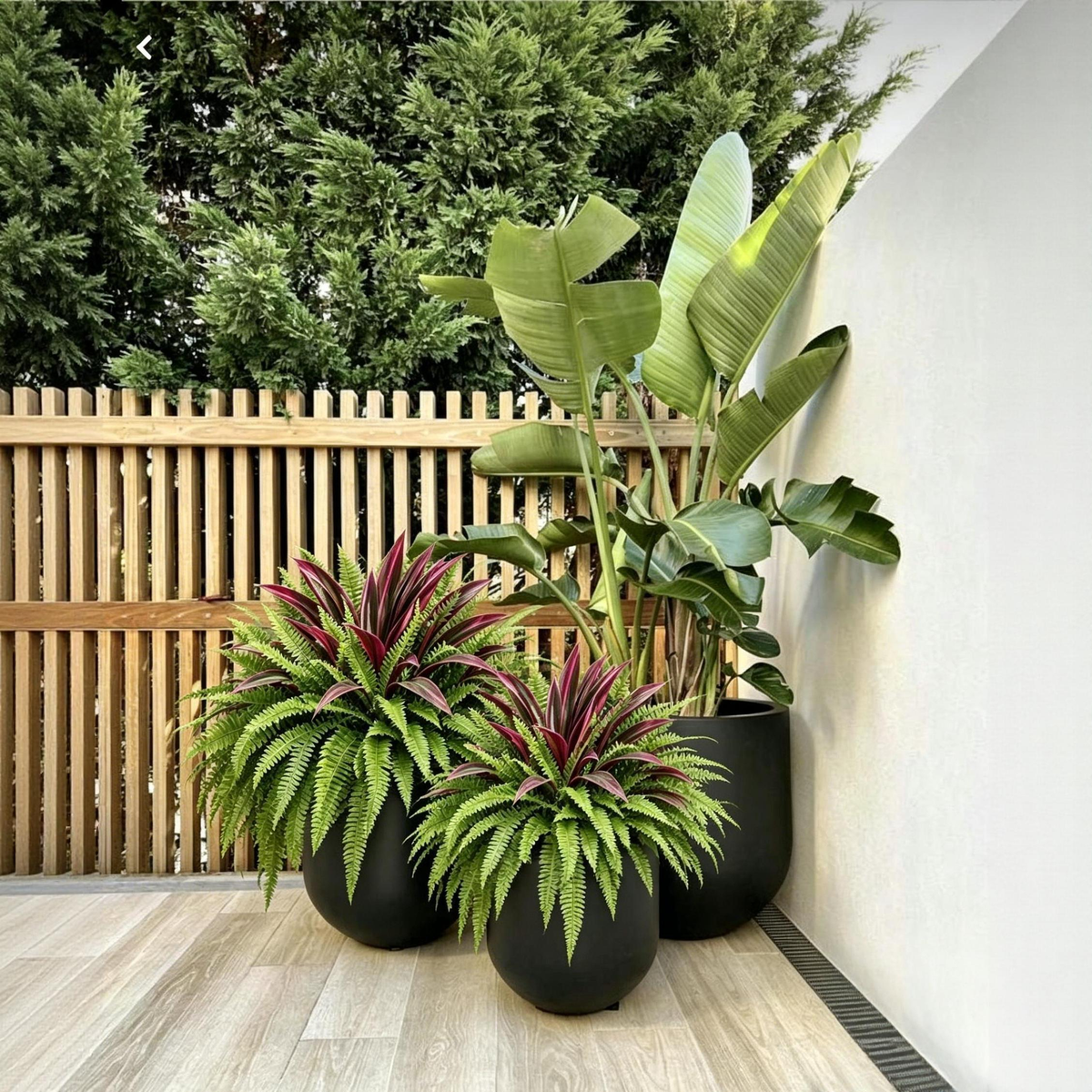 💥Summer Special🔥Designed for Outdoor Decor  Artificial Fern & Red Dracaena Decorative Plants – Full, Lush & Helps Resist Fading!