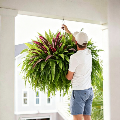 💥Summer Special🔥Designed for Outdoor Decor  Artificial Fern & Red Dracaena Decorative Plants – Full, Lush & Helps Resist Fading!