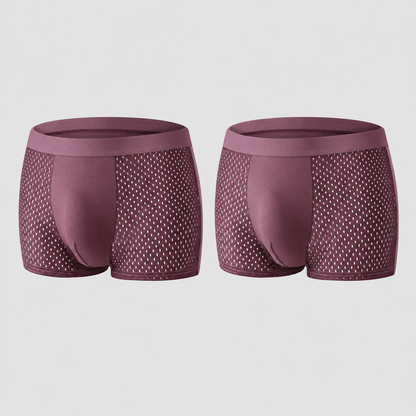 2026 HOT SALE🔥 Premium Leakproof lceSilk Mesh Men's Boxer