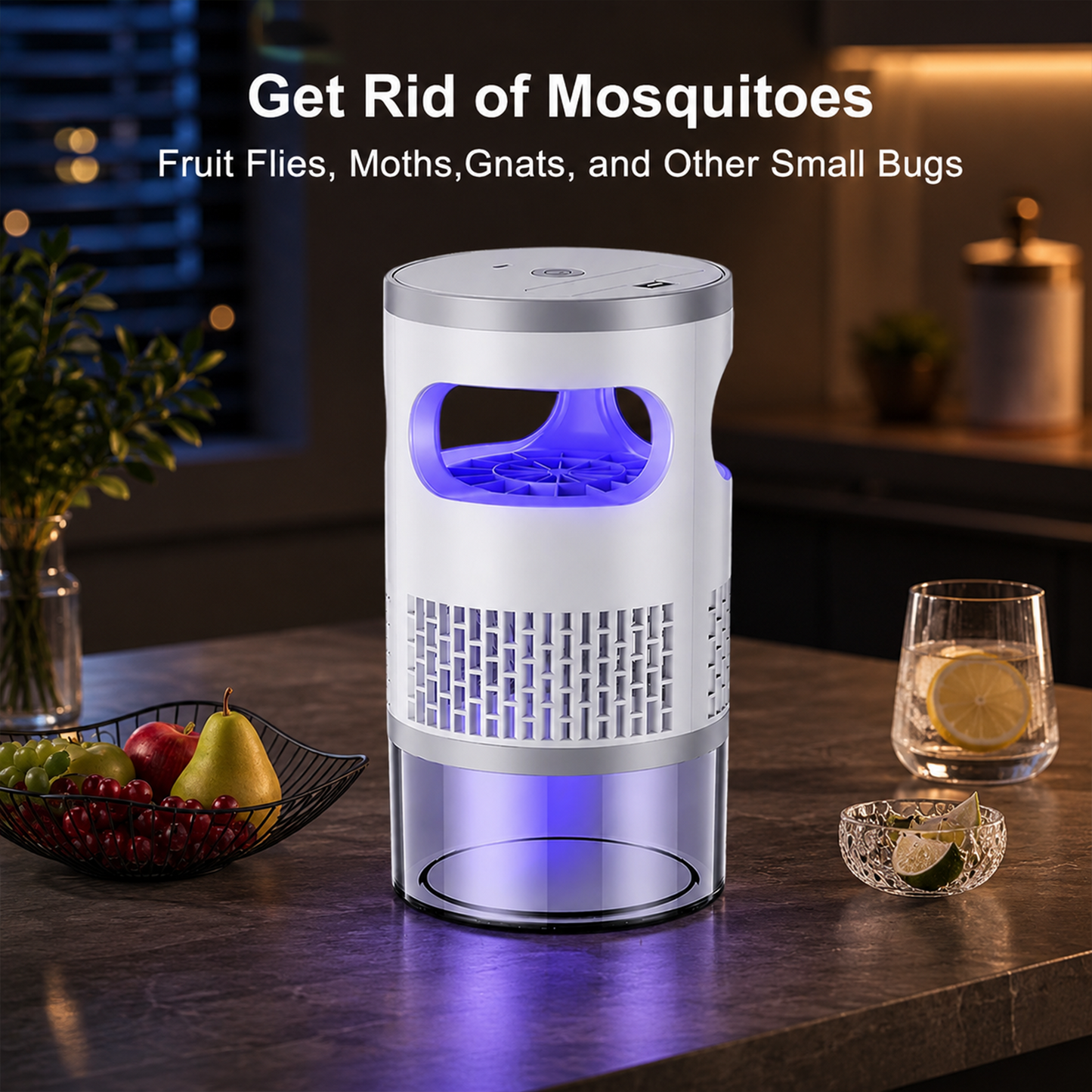 Indoor Insect Trap with Light and Suction