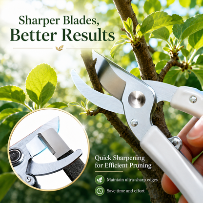 Professional Knife Sharpener Set for Kitchen Blades and Garden Shears